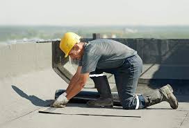 Best Skylight Installation and Repair  in USA